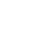 Security Eagle